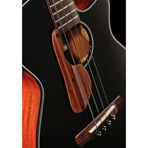 Ibanez AEGB24E-BKH