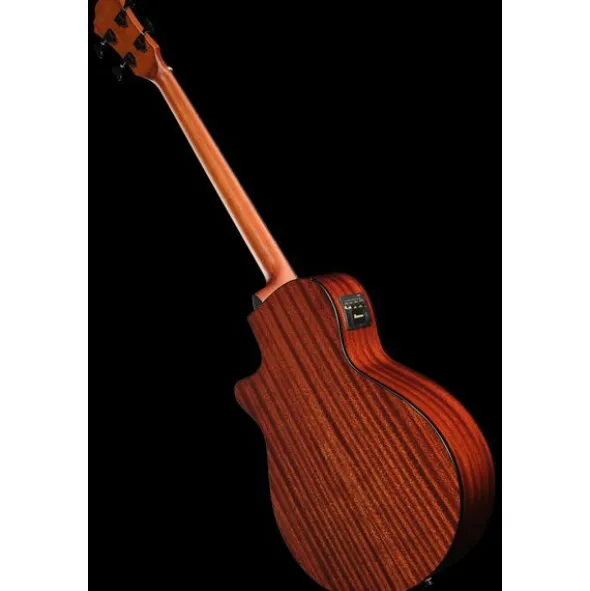 Ibanez AEGB24E-BKH