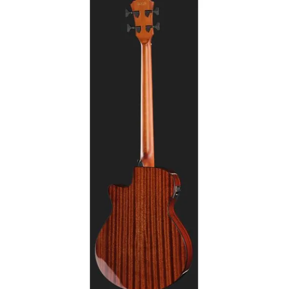 Ibanez AEGB24E-BKH