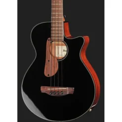 Ibanez AEGB24E-BKH