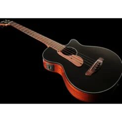 Ibanez AEGB24E-BKH