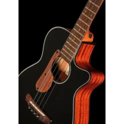Ibanez AEGB24E-BKH
