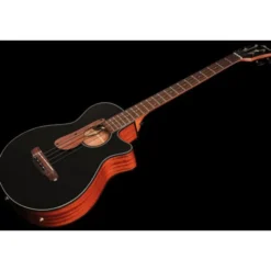 Ibanez AEGB24E-BKH