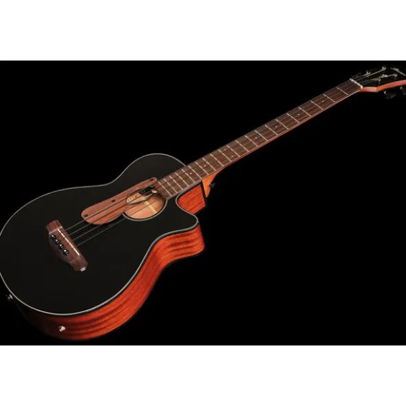 Ibanez AEGB24E-BKH