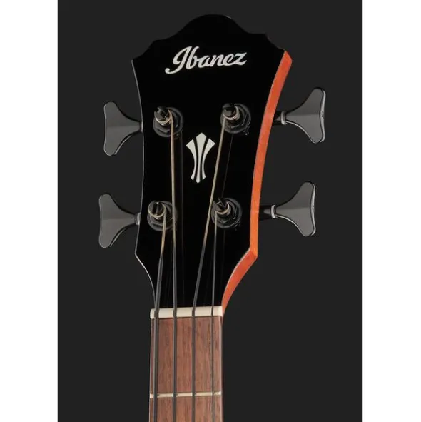 Ibanez AEGB24E-BKH