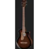 Ibanez AEGB24E-MHS