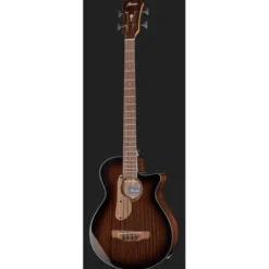 Ibanez AEGB24E-MHS