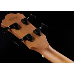 Ibanez AEGB24E-MHS