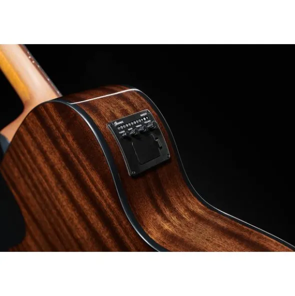 Ibanez AEGB24E-MHS