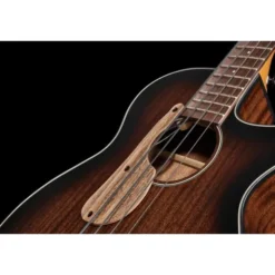 Ibanez AEGB24E-MHS