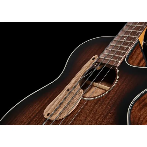 Ibanez AEGB24E-MHS