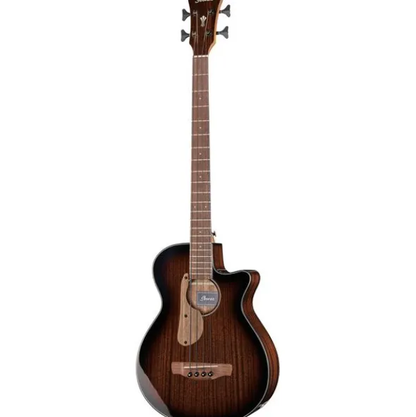Ibanez AEGB24E-MHS