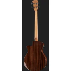 Ibanez AEGB24E-MHS