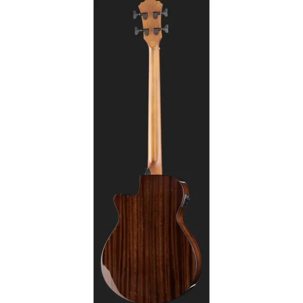 Ibanez AEGB24E-MHS