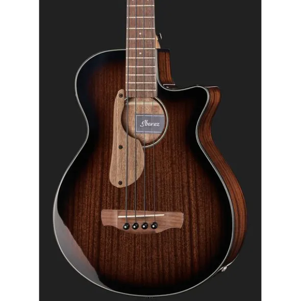 Ibanez AEGB24E-MHS