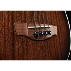 Ibanez AEGB24E-MHS