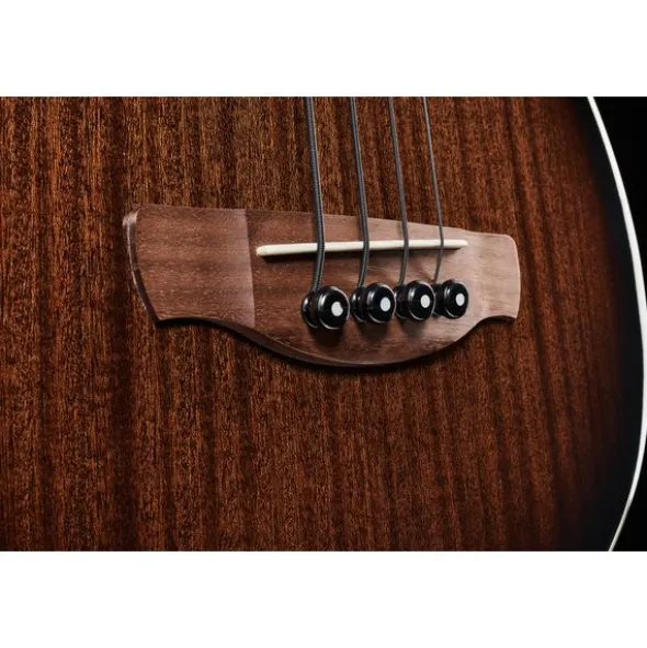 Ibanez AEGB24E-MHS