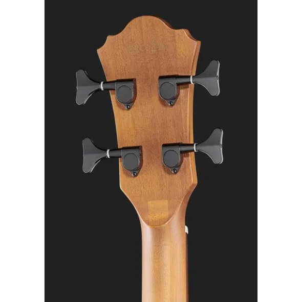 Ibanez AEGB24E-MHS