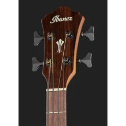 Ibanez AEGB24E-MHS