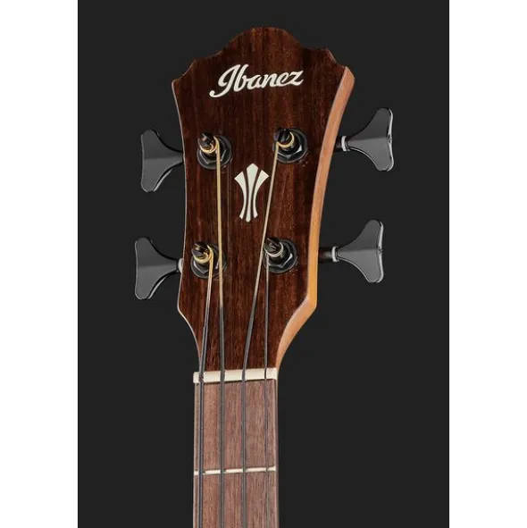 Ibanez AEGB24E-MHS