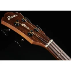 Ibanez AEGB24E-MHS