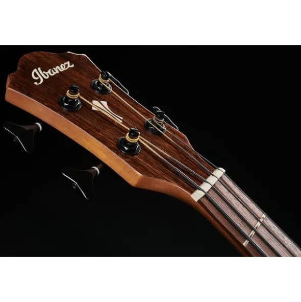 Ibanez AEGB24E-MHS
