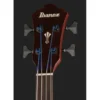Ibanez AEGB24FE-MHS Fretless