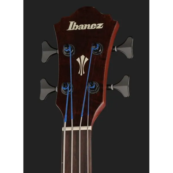 Ibanez AEGB24FE-MHS Fretless