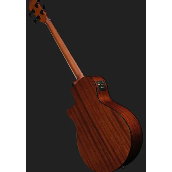 Ibanez AEGB24FE-MHS Fretless