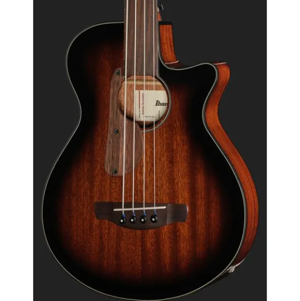 Ibanez AEGB24FE-MHS Fretless
