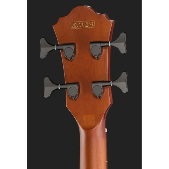 Ibanez AEGB24FE-MHS Fretless