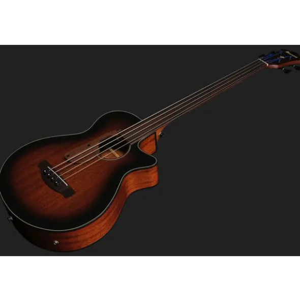 Ibanez AEGB24FE-MHS Fretless
