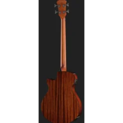 Ibanez AEGB24FE-MHS Fretless