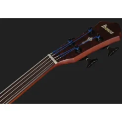 Ibanez AEGB24FE-MHS Fretless