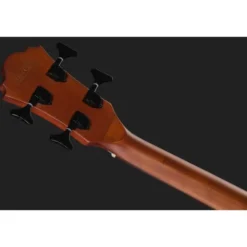 Ibanez AEGB24FE-MHS Fretless