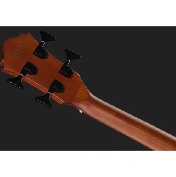 Ibanez AEGB24FE-MHS Fretless