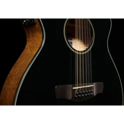 Ibanez AEG5012-BKH