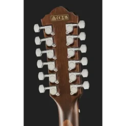 Ibanez AEG5012-BKH