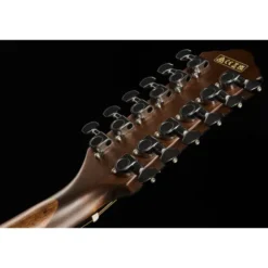 Ibanez AEG5012-BKH