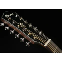 Ibanez AEG5012-BKH