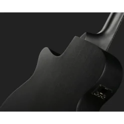 Ibanez AEG1221-BOT