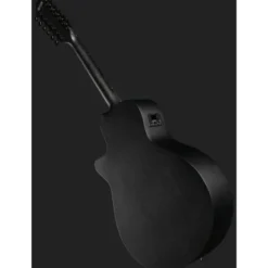 Ibanez AEG1221-BOT