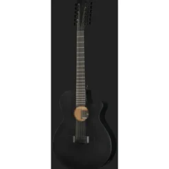 Ibanez AEG1221-BOT
