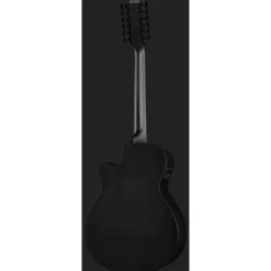 Ibanez AEG1221-BOT