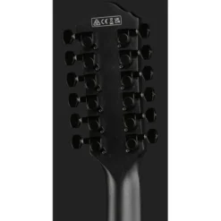 Ibanez AEG1221-BOT