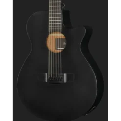 Ibanez AEG1221-BOT