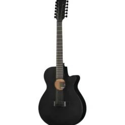 Ibanez AEG1221-BOT