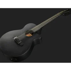 Ibanez AEG1221-BOT