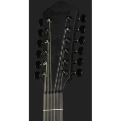 Ibanez AEG1221-BOT