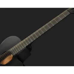 Ibanez AEG1221-BOT